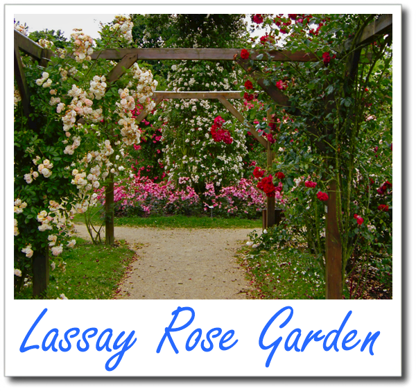 Lassay Rose Garden