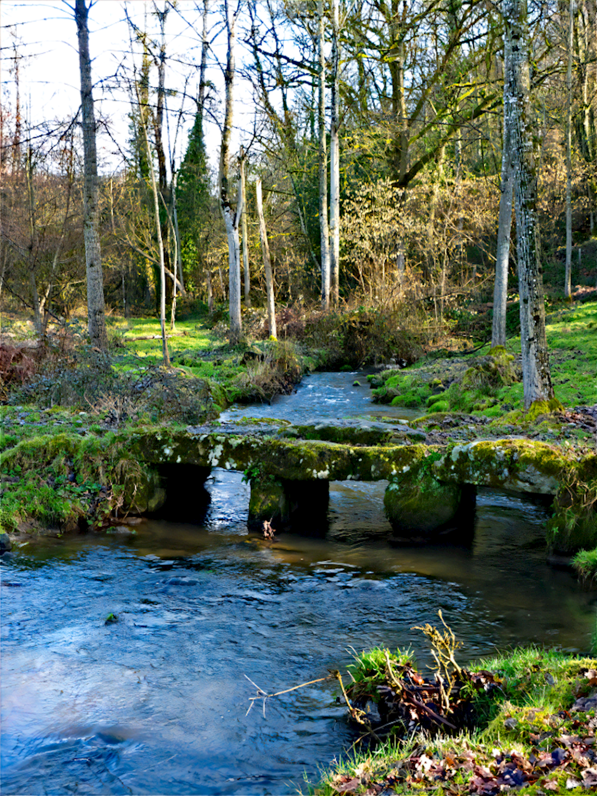 Bridge near Niort