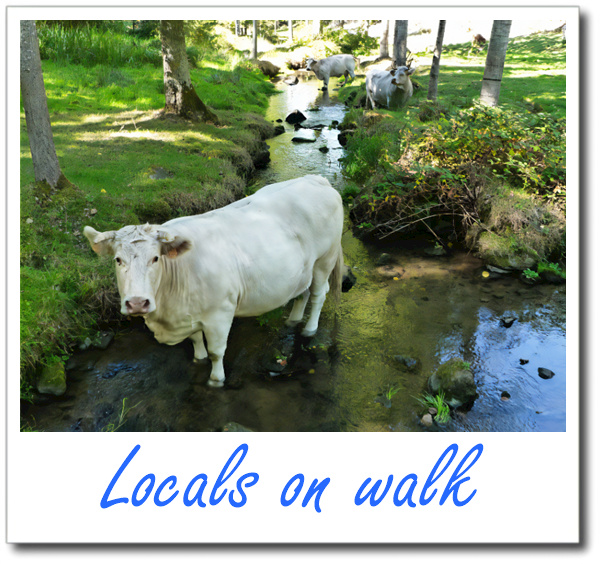 Locals on walk