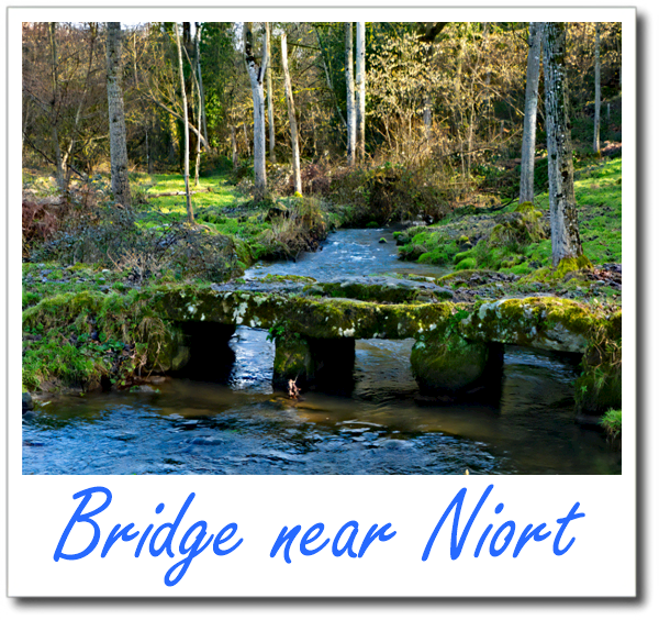Bridge near Niort