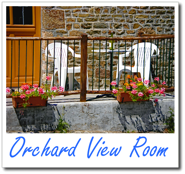 Orchard View Room