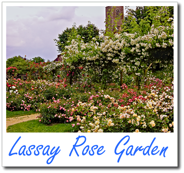 Lassay Rose Garden