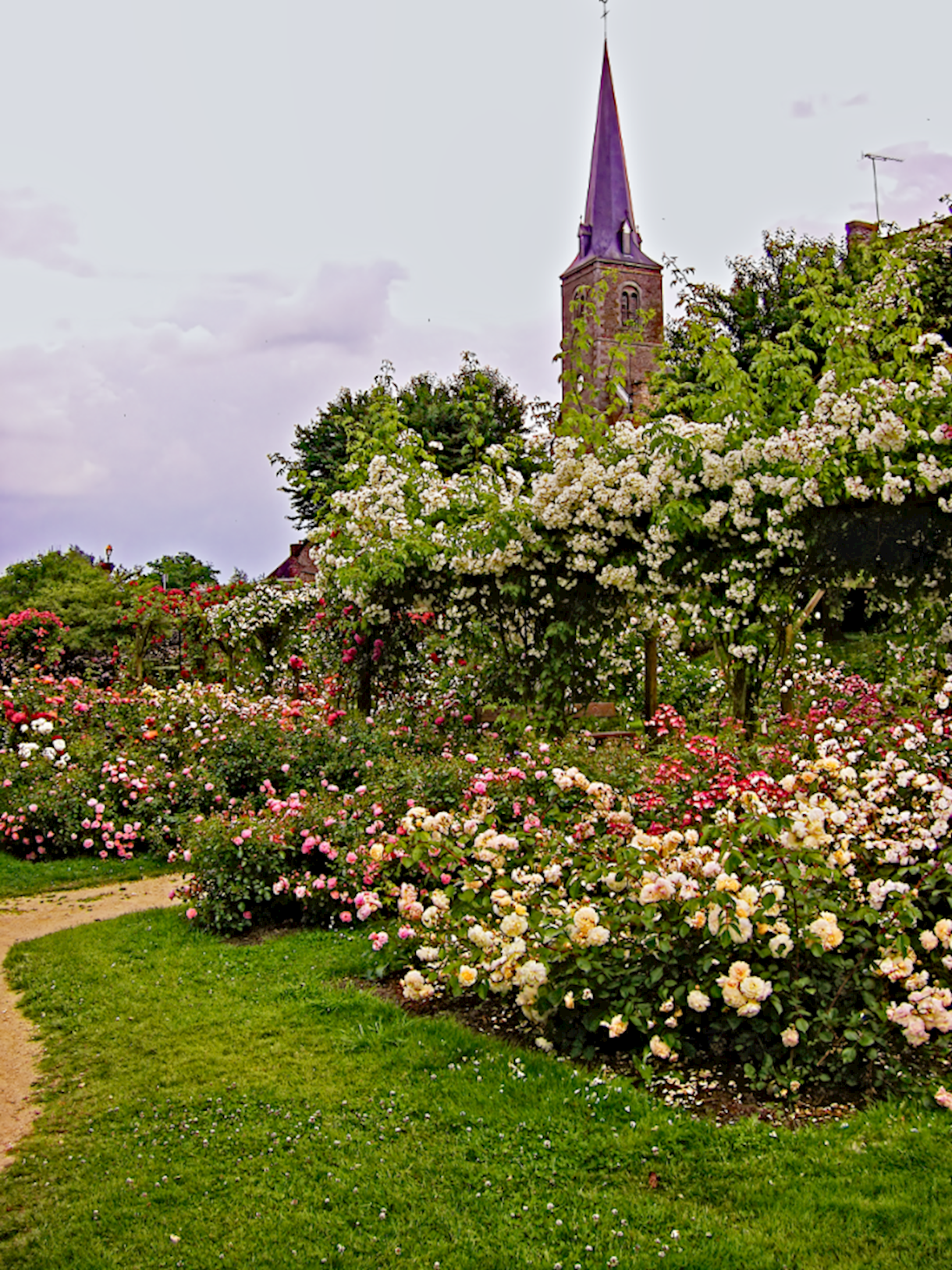 Lassay Rose Garden