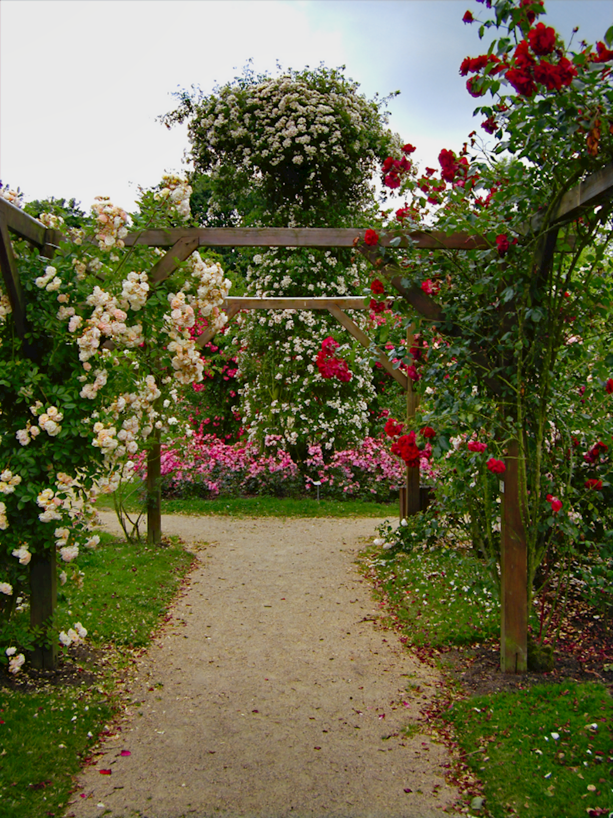 Lassay Rose Garden