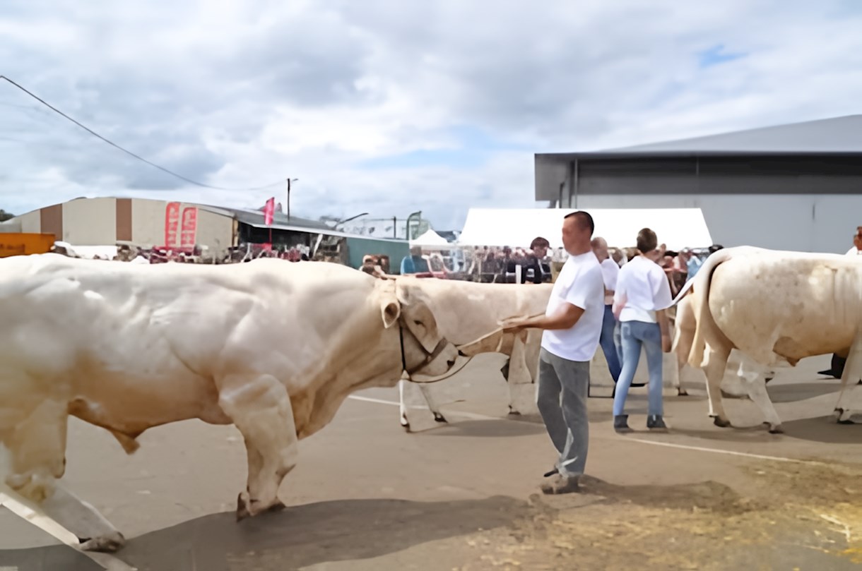  Fête et Foire-expo de la Madeleine Country Fair 